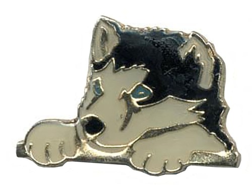 Set aus husky face - set,