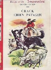 Crack, patagonischer Hund -