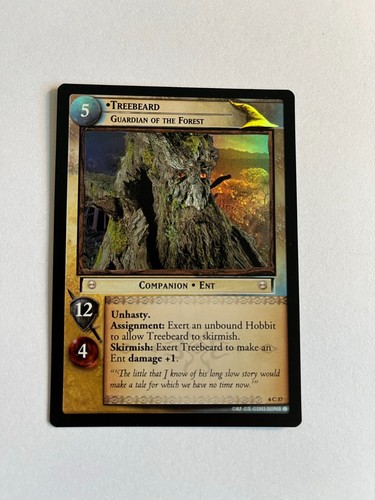 Lord the rings card game - card,