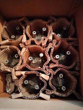 SENDERÖHRE GU81, Russische