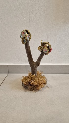 Bierbaum geschenkidee - bierbaum,