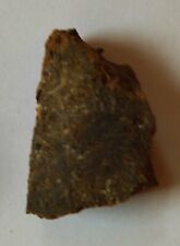 ?Mittelalterlicher  Ziegelstein Martin Lutherzeit Mansfeld (N498)?