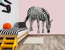 3D Zebra C98 Tier Wallpaper