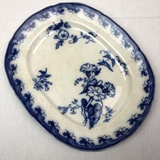 Antiker Teller Convolvolus