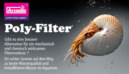 Arcadia poly filter - filter, aquaristik