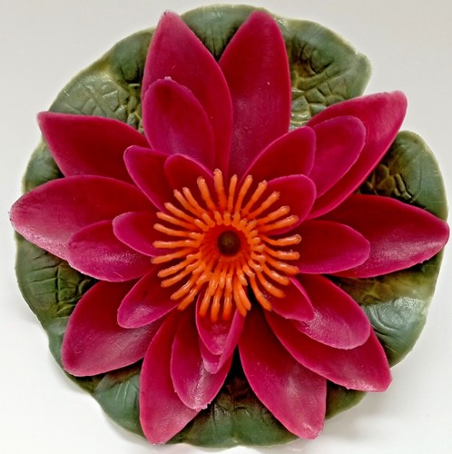 Gardena seerose schwimmend - gardena,