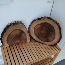 2x kernfaule Baumscheibe