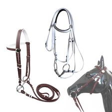Pferdetrense mit Zügelhalfter
