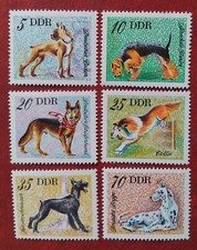 Briefmarken DDR Hunde Boxer Terrier Schäferhund Collie Schnauzer Dogge 1976