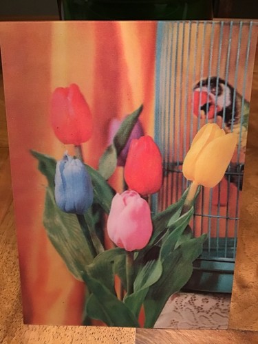 Ansichtskarte tulpen - 3d,