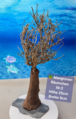 Mangroven aquarium bäumchen - aquarium,