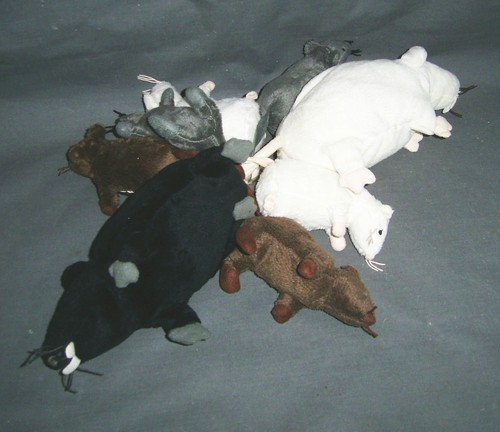 Ikea ratte maus - ikea,