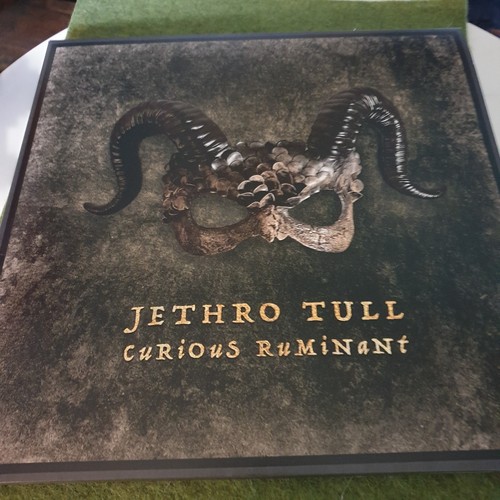 Jethro tull curious ruminant - -,