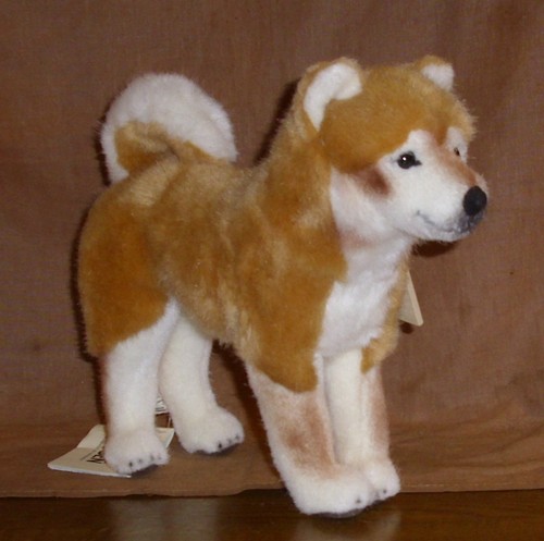 Bad kösen hund shiba - bad, shiba-inu