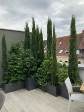 5 Pflanzkübel Stahl Grau