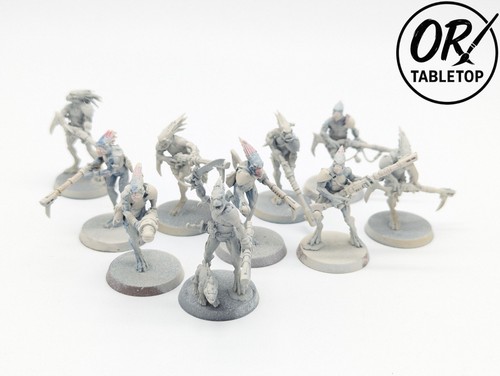 Kroot carnivores teilw - 10, *teilw