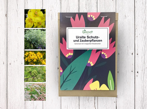 Heilpflanzen samenset uralte - samenset, "uralte