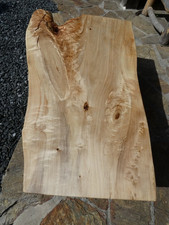 couchtisch tisch pappel bohle baumstammtisch barplatte