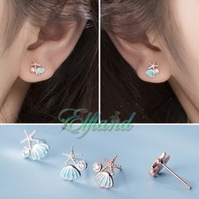 Echt 925 Sterling Silber * Ohrschmuck Ohrringe Ohrstecker * Seestern Muschel