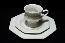 Leonardo Gallo Fougere