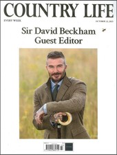 Country Life Magazine: David