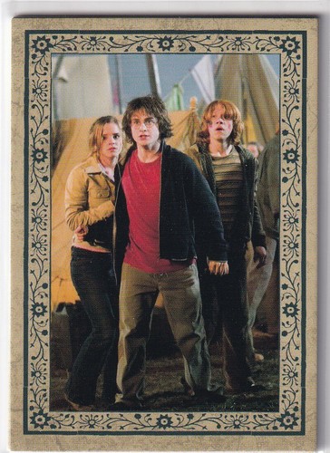 Panini harry potter evolution - panini,