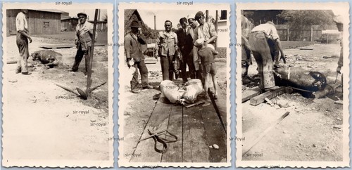 Ploesti 1942 zivilisten - -,