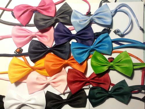 Fliege bow tie - tie, cravattino