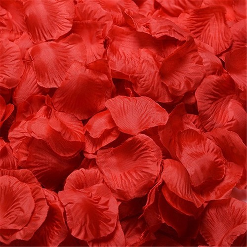 Rosenblätter rosenblüten 500 - rosenblüten,