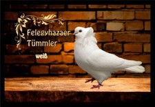 Fußmatte Schmutzfangmatte