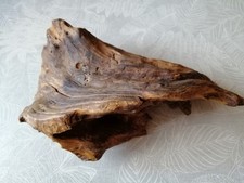 Holz Wurzel  - -  Deko  - -
