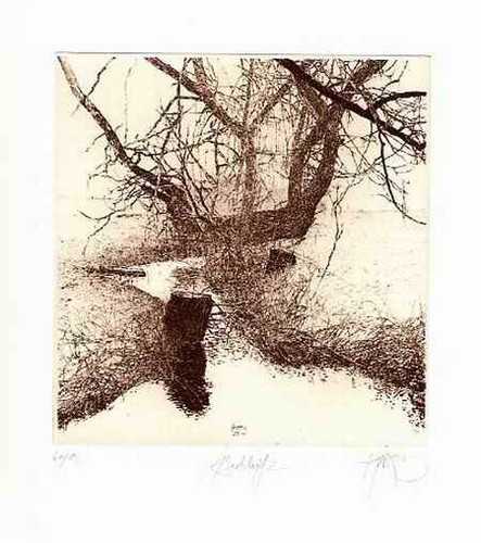 Walter herzog bachlauf - herzog,