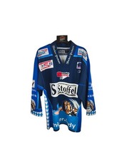 Straubing Tigers Home Ice