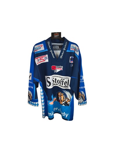 Straubing tigers home - tigers,