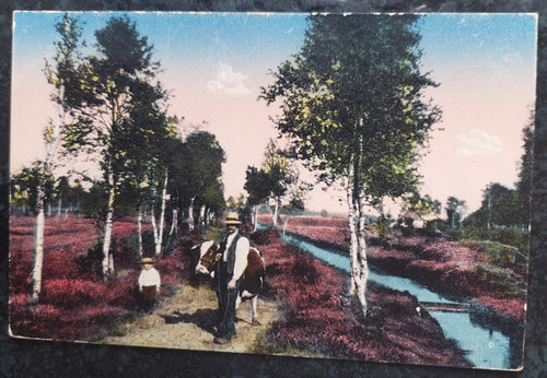 Lüneburger heide 1918 - lüneburger,