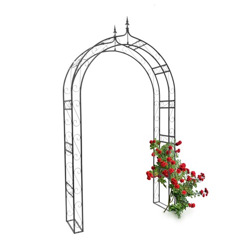 Rosenbogen mit spitze