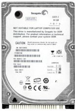 FESTPLATTE SEAGATE ST980210A