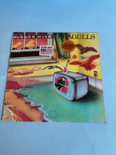 A flock of seagulls - A flock