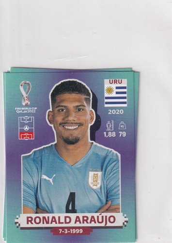 Panini qatar world cup - qatar, sticker
