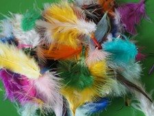 Deko FEDERN 25 Stck  ca. 6-10 cm groß- BUNT oder viele Unifarben:  Deko, Basteln