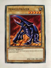 Herkuleskäfer OP19-DE012