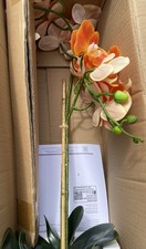 Orchidee in orange von QVC