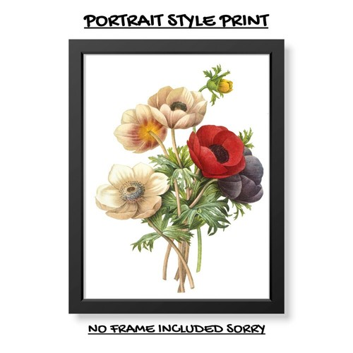 Blumen botanisch druck bild - botanisch,