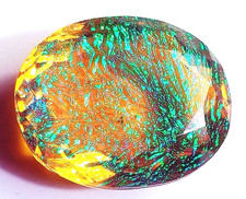 AA+++ Großer Monarch