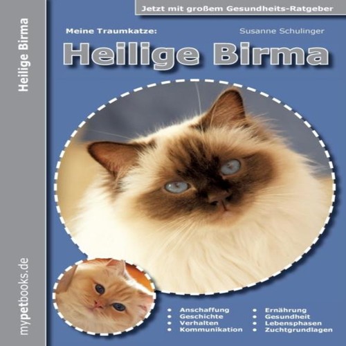 Meine traumkatze heilige birma - meine,