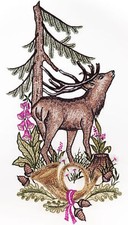 PLAUENER SPITZE Fensterbild