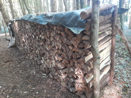 Privat brennholz 1m - privat:,