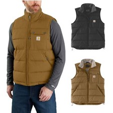 Carhartt Montana Loose Fit
