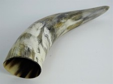 Trinkhorn groß matt schöne