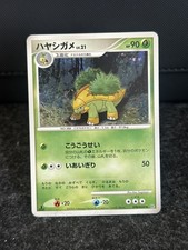 Grotle DPBP#449 Japanese